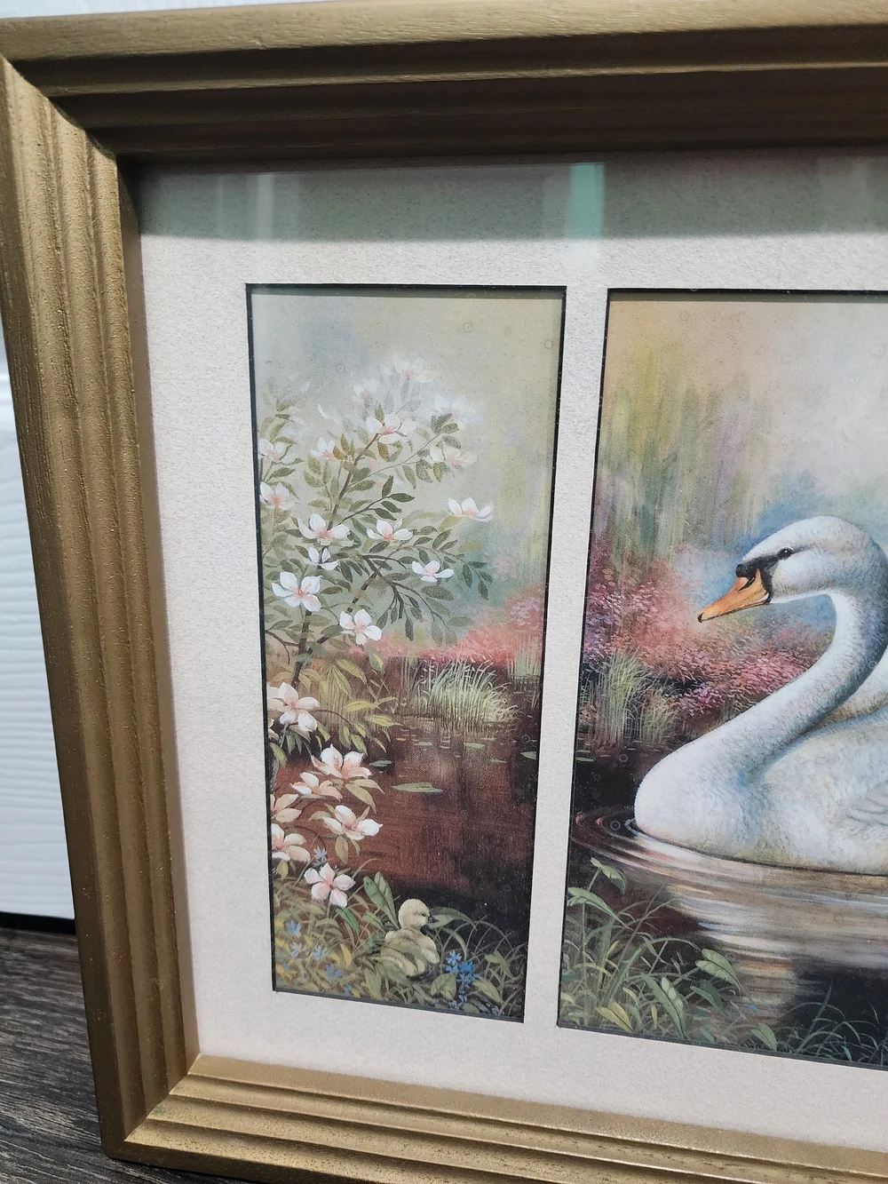 Vintage Gold Framed Print Mother Swan and Babies with Pink Background